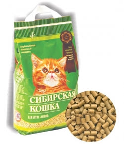Сибирская кошка котята лесной 5л